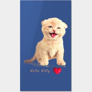 Hello Kitty Funny Cat Posters and Art